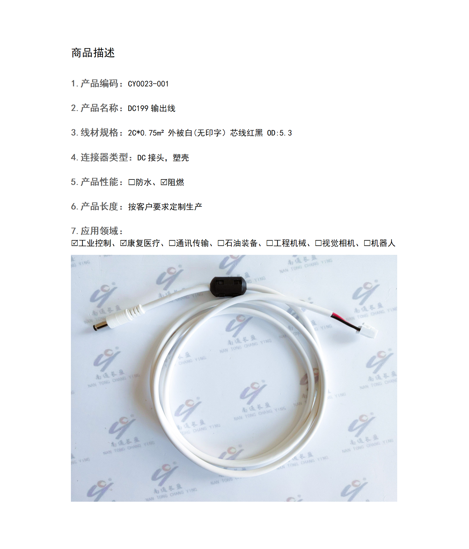 CY0023-001 DC199輸出線